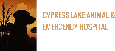 Cypress Lake Animal Hospital